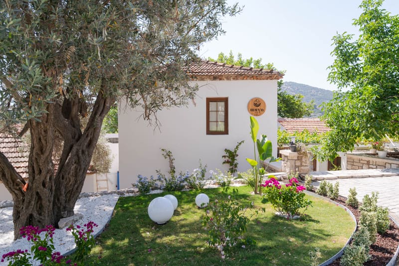 Muyo House taş bina ve zeytin ağacı